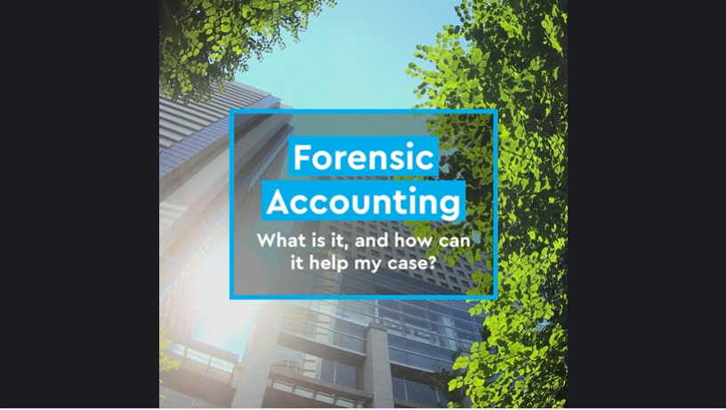 Experts Webinar Forensic Accounting