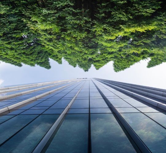 green building environmental services sustainability